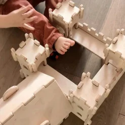 Adventurous Wooden Fortress