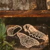 Butterfly Life Cycle Eco Cutter - Set Of 3