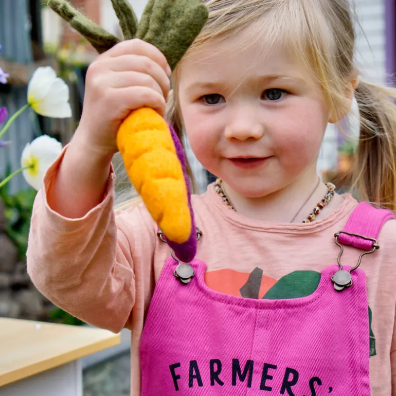 Felt Fruit & Vegetable Set - 14 Pieces