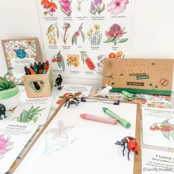 Honeysticks Jumbos - Pack Of 16