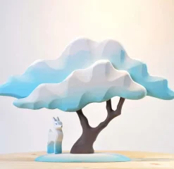 Japanese Winter Maple Tree - Blue