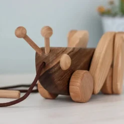 Large Wooden Pull Along Grasshopper