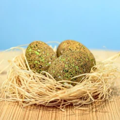 Wooden Ankylosaurus Eggs