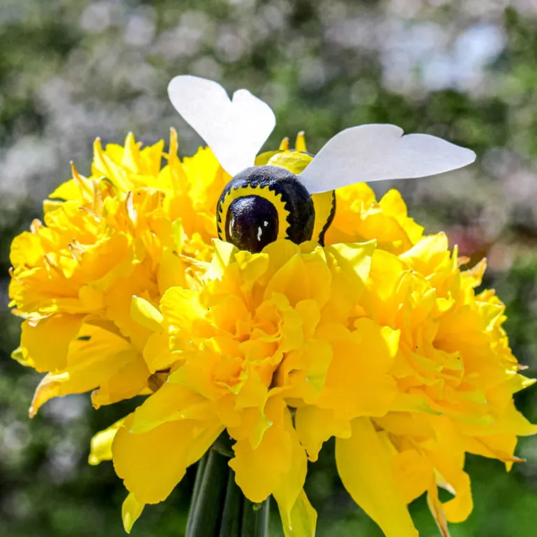 Wooden Bumblebee