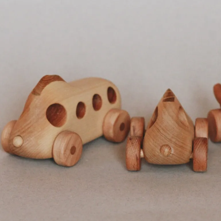 Wooden Bus - Good Soul