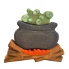 Wooden Cauldron with Fire