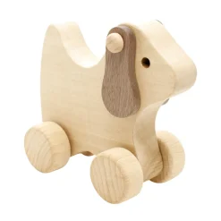 Wooden Dog Push Along - Socks