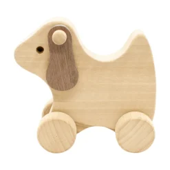 Wooden Dog Push Along - Socks