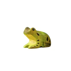 Wooden Frog