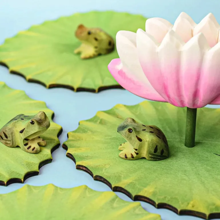 Wooden Frog