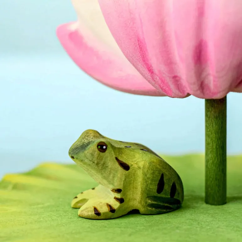 Wooden Frog