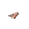Wooden Galah