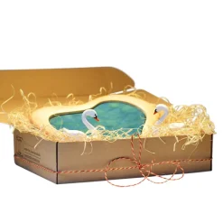 Wooden Heart Shaped Pond