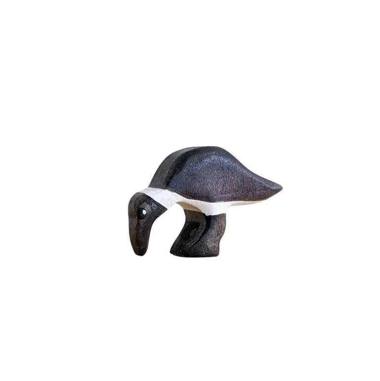 Wooden Ibis - Eating