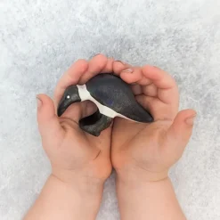 Wooden Ibis - Eating