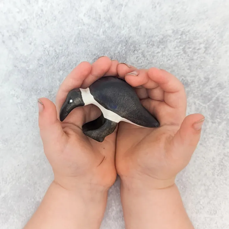 Wooden Ibis - Eating