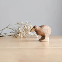 Wooden Kiwi Bird