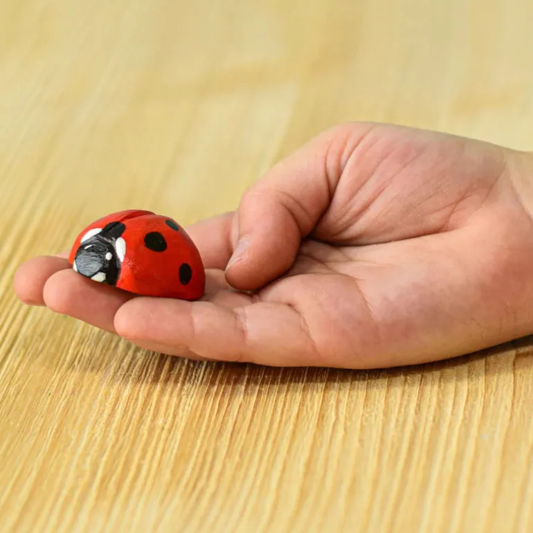 Wooden Ladybug