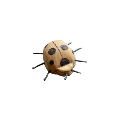 Wooden Ladybug