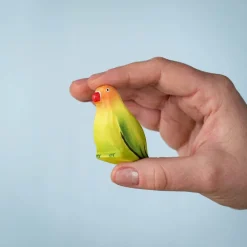 Wooden Love Bird - Green