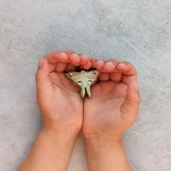 Wooden Lunar Moth