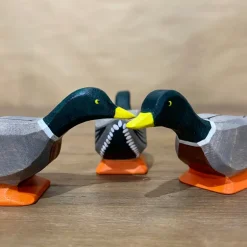 Wooden Mallard Duck - Curious