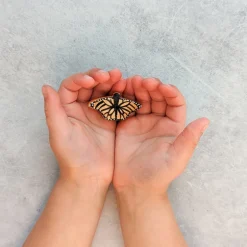 Wooden Monarch Butterfly