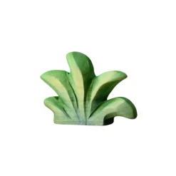 Wooden Mountain Bush