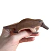 Wooden Platypus