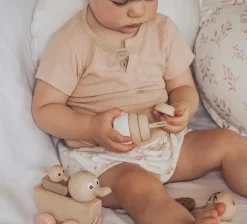 Wooden Pull Along Toy Duck With Duckling - Georgia