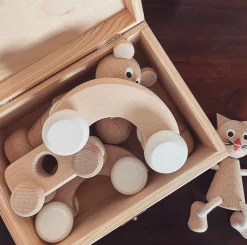 Wooden Push Along Toy - Archie