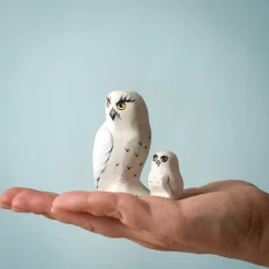 Wooden Snowy Owl Set