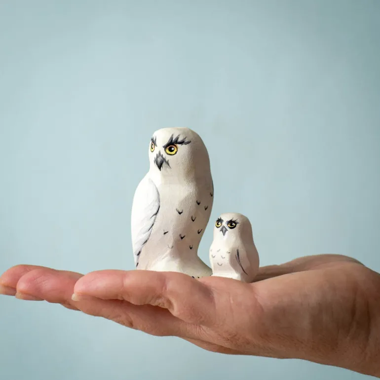 Wooden Snowy Owl Set