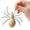 Wooden Spider
