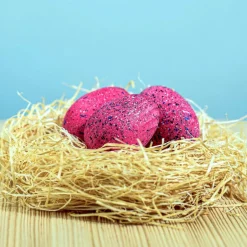 Wooden Spinosaurus Eggs