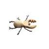 Wooden Stag Beetle