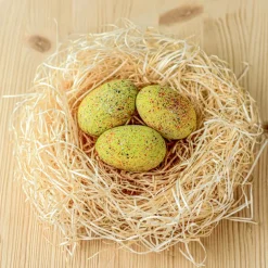 Wooden Stegosaurus Eggs