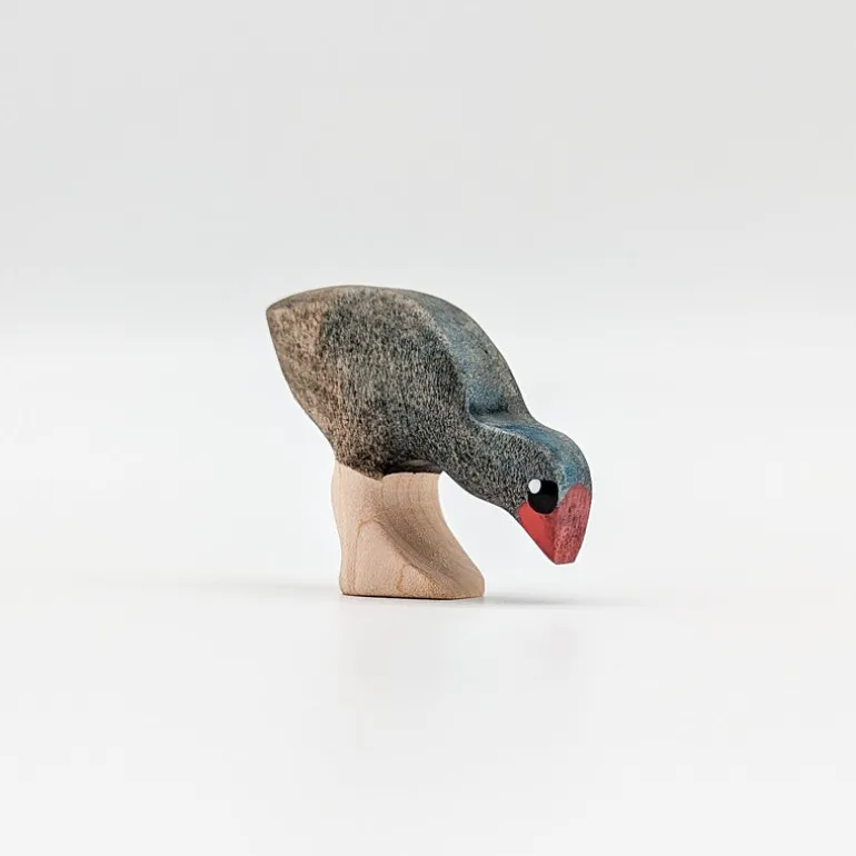 Wooden Swamphen