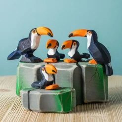 Wooden Toucan Chick