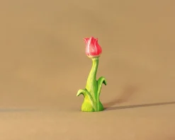 Wooden Tulip
