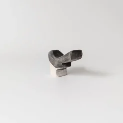 Wooden Willie Wagtail